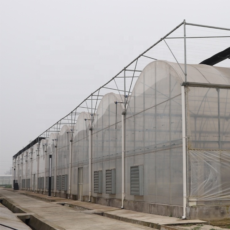 Poultry Farm Vaulted Tunnel Greenhouse Greenhouse Tent with Cooling and Insulation System for Chicken/Cow/Goat Feeding