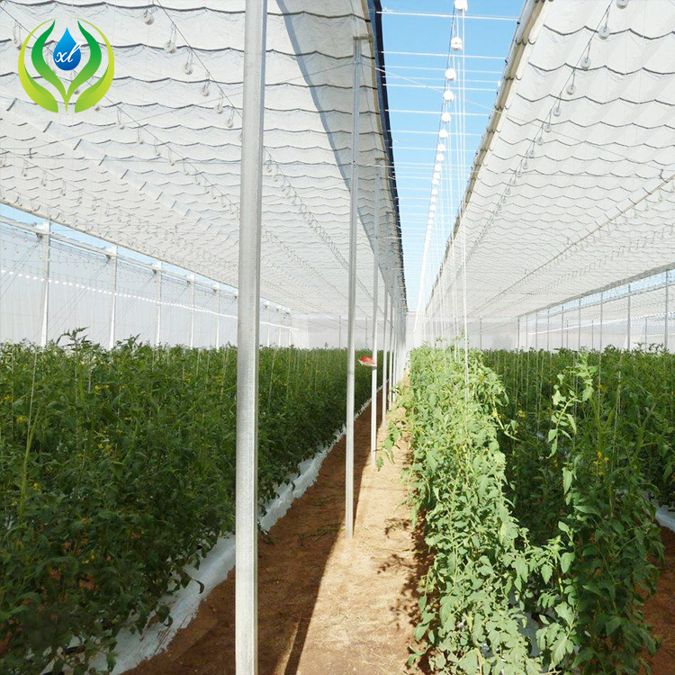 MYXL Commercial  HDPE Plastic Cover Tree Greenhouse Flat Roof Retractable Greenhouse For Tree Nursery