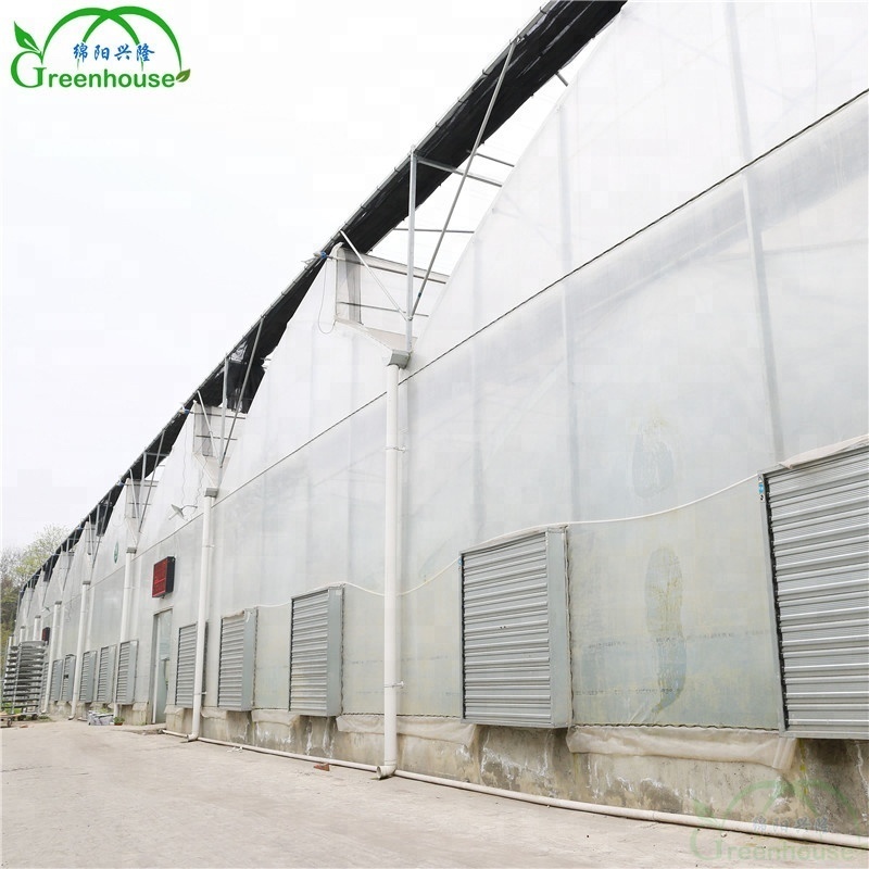 High Quality Inflatable Greenhouse Used for Sale