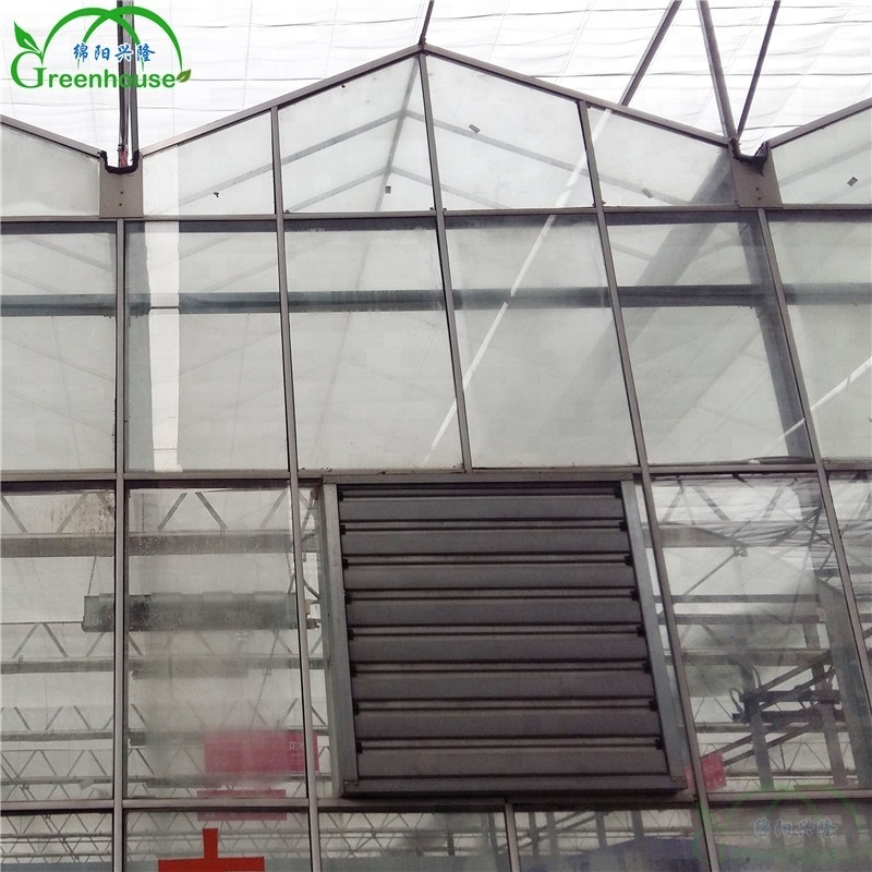 High Quality Inflatable Greenhouse Used for Sale