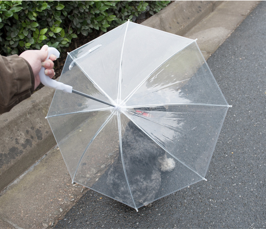 2023 hot sale Transparent clear waterproof pet rain gear dog cat  umbrella with leash