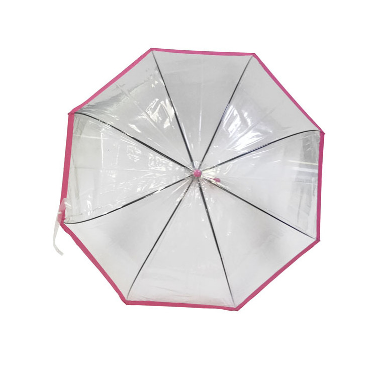 Wide Powder Edge Dome Windproof Automatic Open Children Transparent straight Umbrella