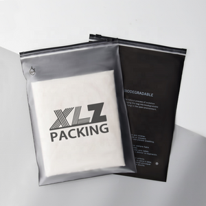 Wholesale Custom Logo Eco Friendly Pvc Frosted Matte Plastic  Packaging Zipper Poly Mailing Bag For Clothing & Underwear