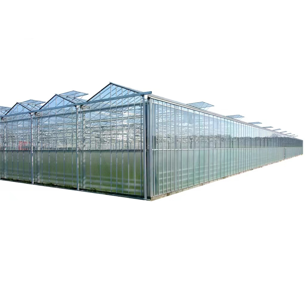 Hot sale factory direct sales glass greenhouses for vegetables plant grow hydroponic green house