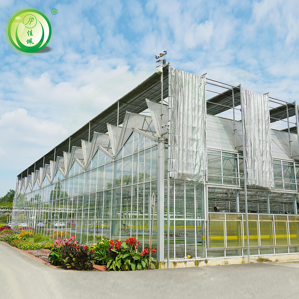 Hot sale factory direct sales glass greenhouses for vegetables plant grow hydroponic green house