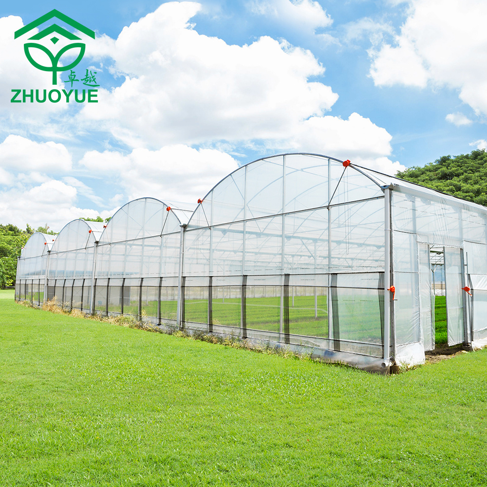 Industrial Commercial greenhouse Professional Design with Complete System/Automatic Irrigation System for Vegetable/Flower/Fruit