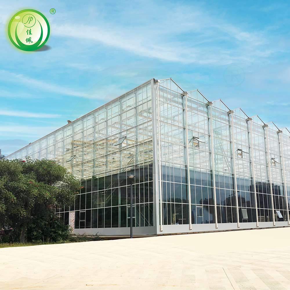 Hot sale factory direct sales glass greenhouses for vegetables plant grow hydroponic green house