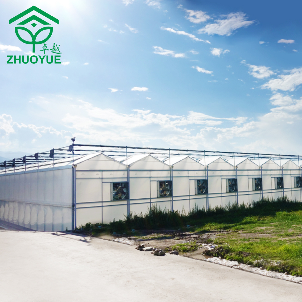 Industrial Commercial greenhouse Professional Design with Complete System/Automatic Irrigation System for Vegetable/Flower/Fruit