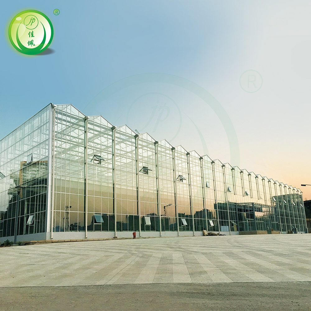 Hot sale factory direct sales glass greenhouses for vegetables plant grow hydroponic green house