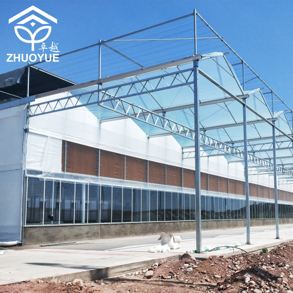 Industrial Commercial greenhouse Professional Design with Complete System/Automatic Irrigation System for Vegetable/Flower/Fruit