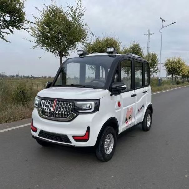 Electric Car Mini Cute New Energy Vehicle electrical bus 2 seater electric cars for adult carros electrico adultos from China