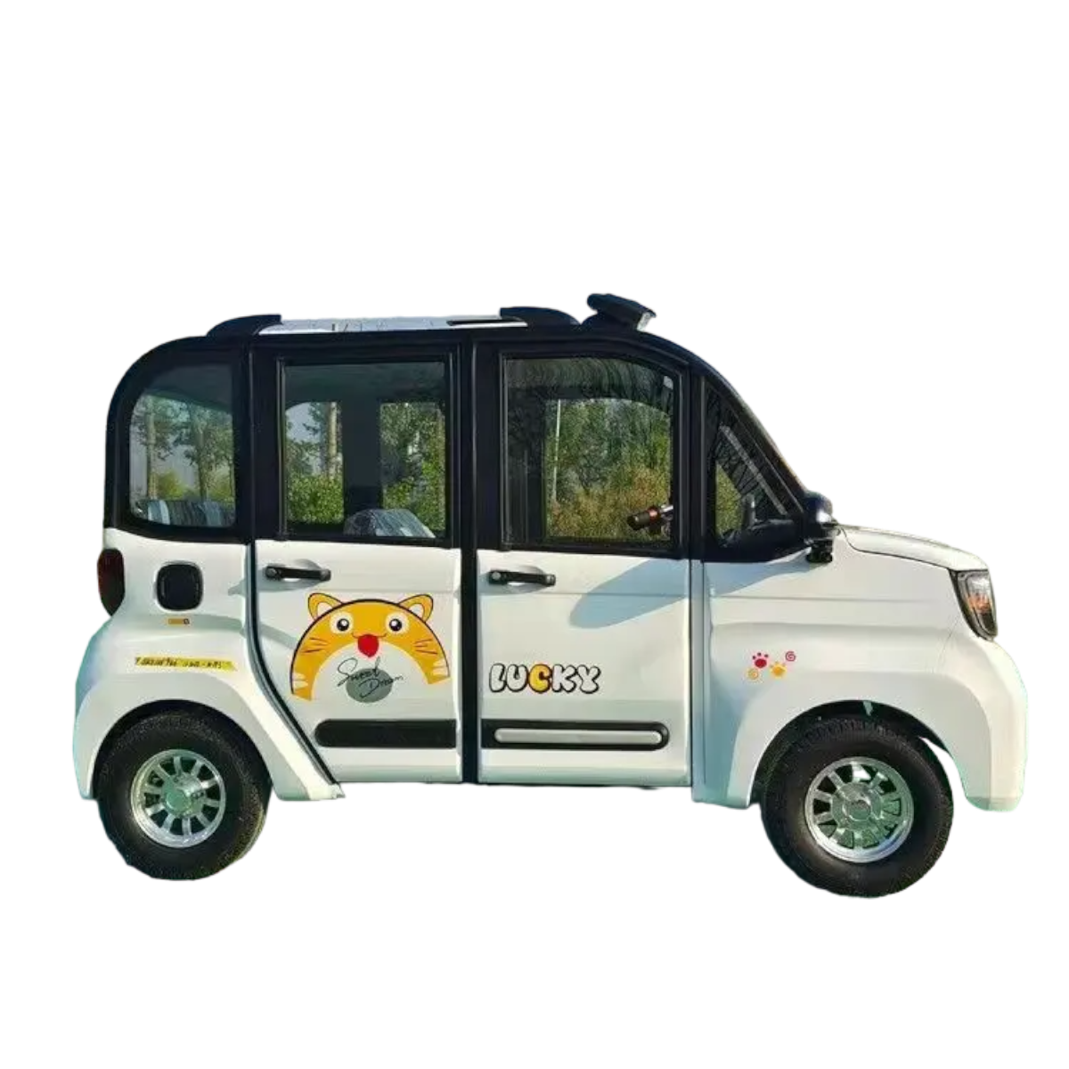 Electric Car Mini Cute New Energy Vehicle electrical bus 2 seater electric cars for adult carros electrico adultos from China