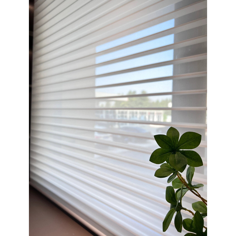 Shangri-La Motorized Automatic Roller Blinds Blackout Shutter Solar Screen Curtains French Design Shade Fabric for Windows