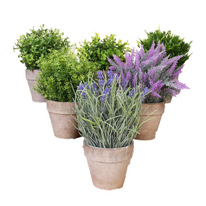 Mini Potted Artificial Money Leaf Plants Lavender Cedar Bud Greenery in Pots False Flowers Faux Herbs for HOME DECOR