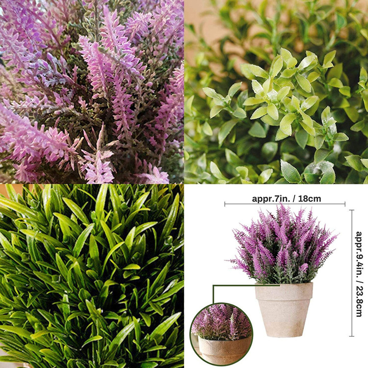 Mini Potted Artificial Money Leaf Plants Lavender Cedar Bud Greenery in Pots False Flowers Faux Herbs for HOME DECOR