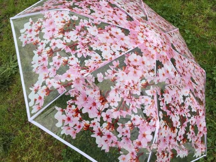 Ladies 3 Fold Folding Transparent Clear Cherry Blossom Mushroom Apollo Sakura Umbrella Parasol Pink Flowers Pattern Umbrella