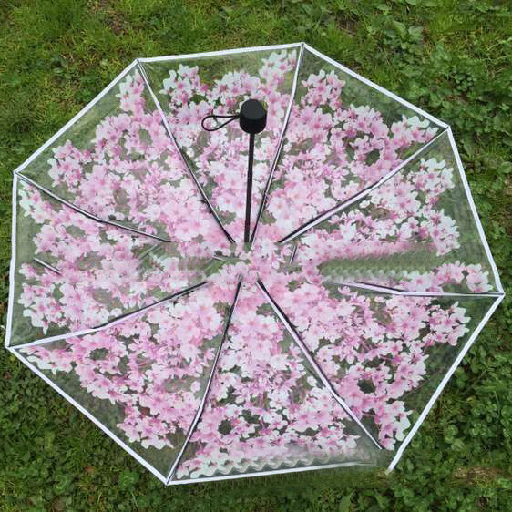 Ladies 3 Fold Folding Transparent Clear Cherry Blossom Mushroom Apollo Sakura Umbrella Parasol Pink Flowers Pattern Umbrella