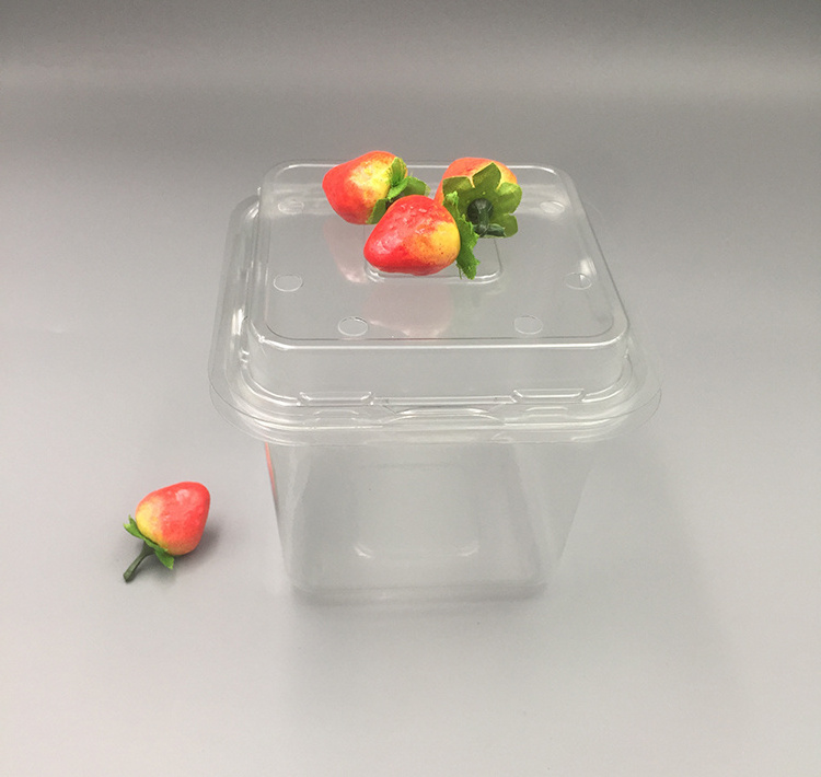 Customized Plastic Fruit Clamshell Packaging blackberry strawberry berry blueberry grape Punnets fruit container