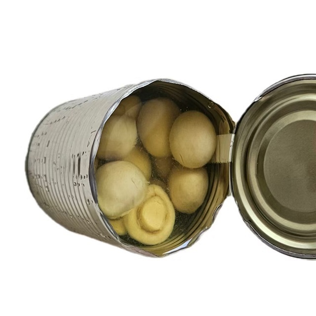 New Product Wholesale Fresh Canned Champignon Mushroom