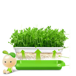 Garden Farm Durable Sprout Seed Float Trays Gridding Plant Vegetables Tub Flower Growing Seedling Nursery Tray With Cover