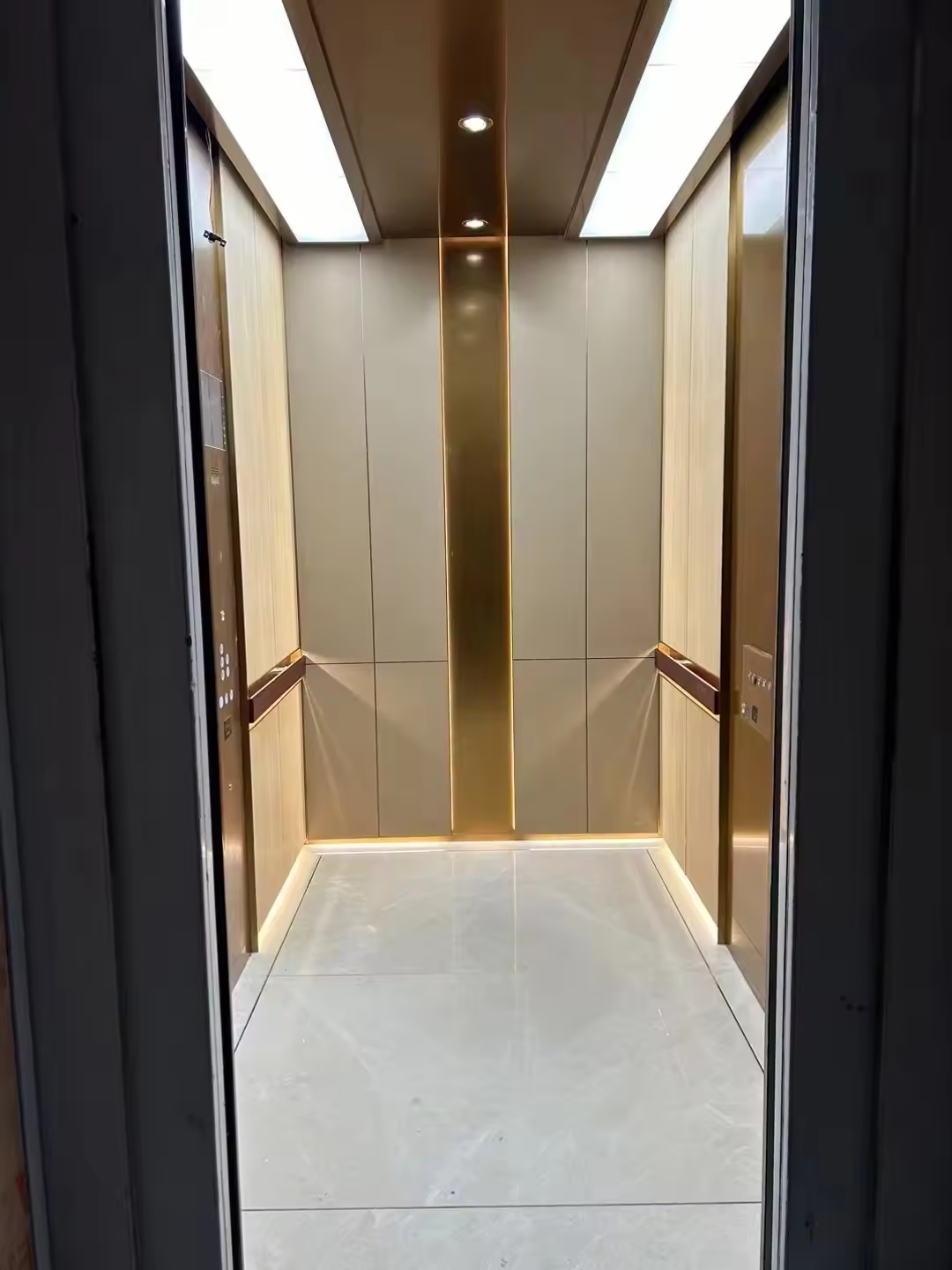 Faith Stone 320kg Small Residential Elevator Lifting 4 Passengers for Hotel House Apartment