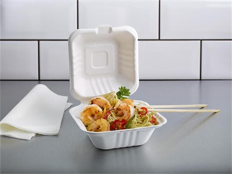 Low Cost Lunch Box Food Paper Plate Machine Price Disposable Bagasse Based Tableware Pulp Molding Paper Dish