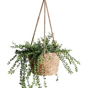 4 Pieces Hanging Planter Basket Set Jute Rope Plant Hangers Hand Woven Storage Flower Pot with Waterproof Plastic Liner Indoor