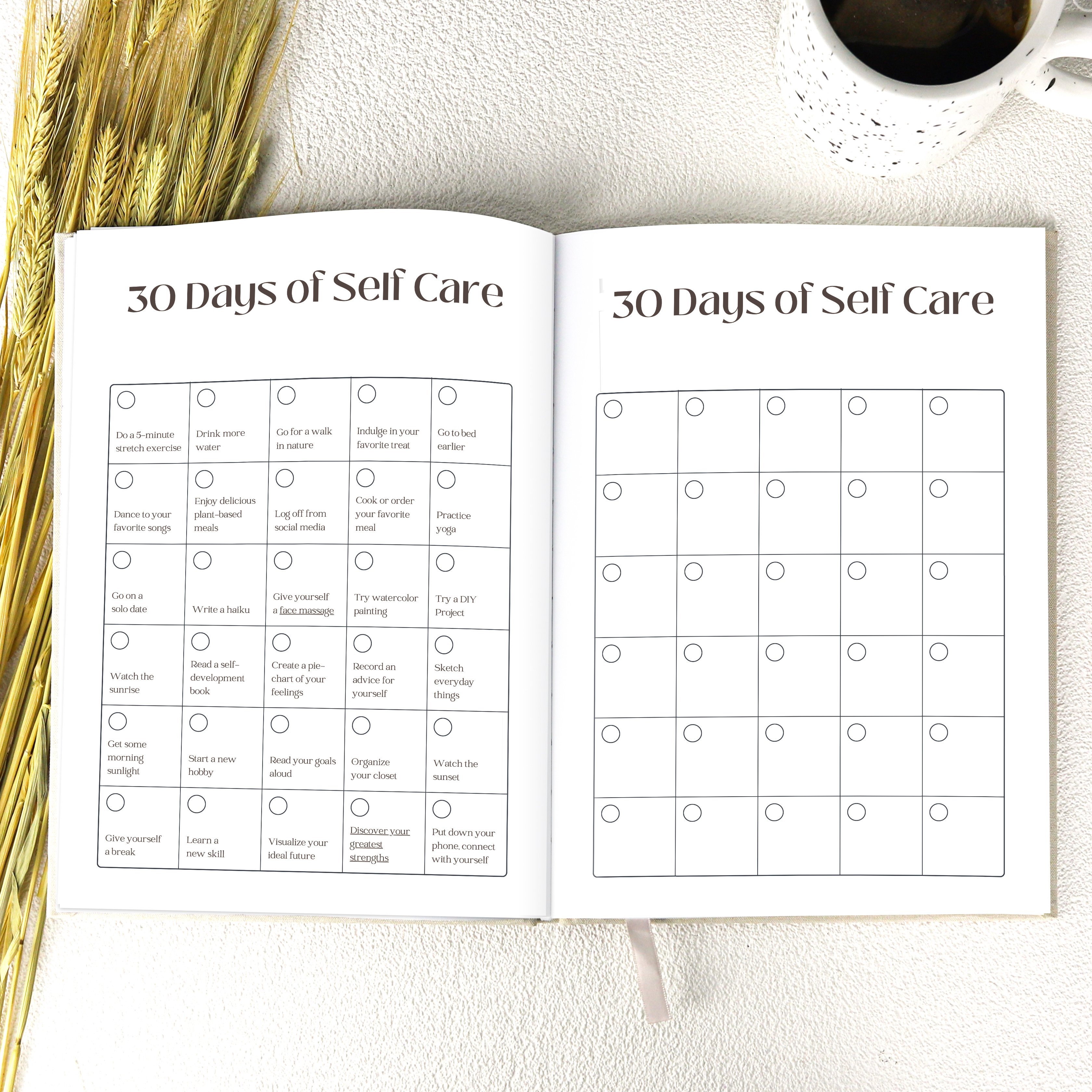 Luxury Gift for Her My Daily Self-Care Wellness 2023 Custom Daily Gratitude Affirmations Positive Journal Planners Notebook