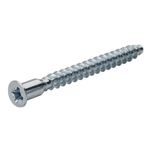 OEM Factory Wholesales Cross Recessed Screws Customized Screws Self Tapping Screw