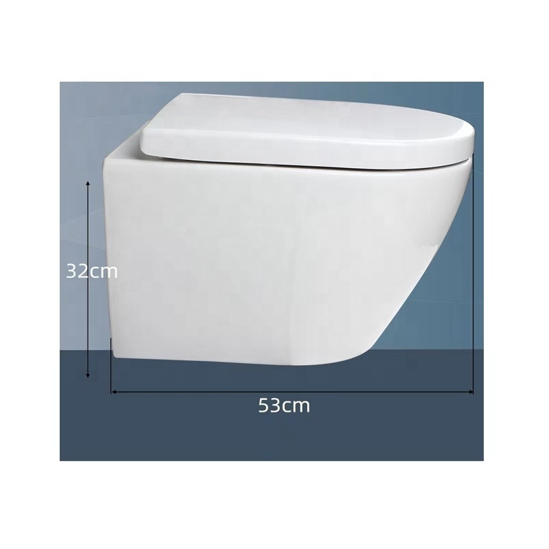 Complete Set Toilet with Wall Hung Toilet, Soft Closing Seat Cover,  Concealed Cistern and Flush Plate