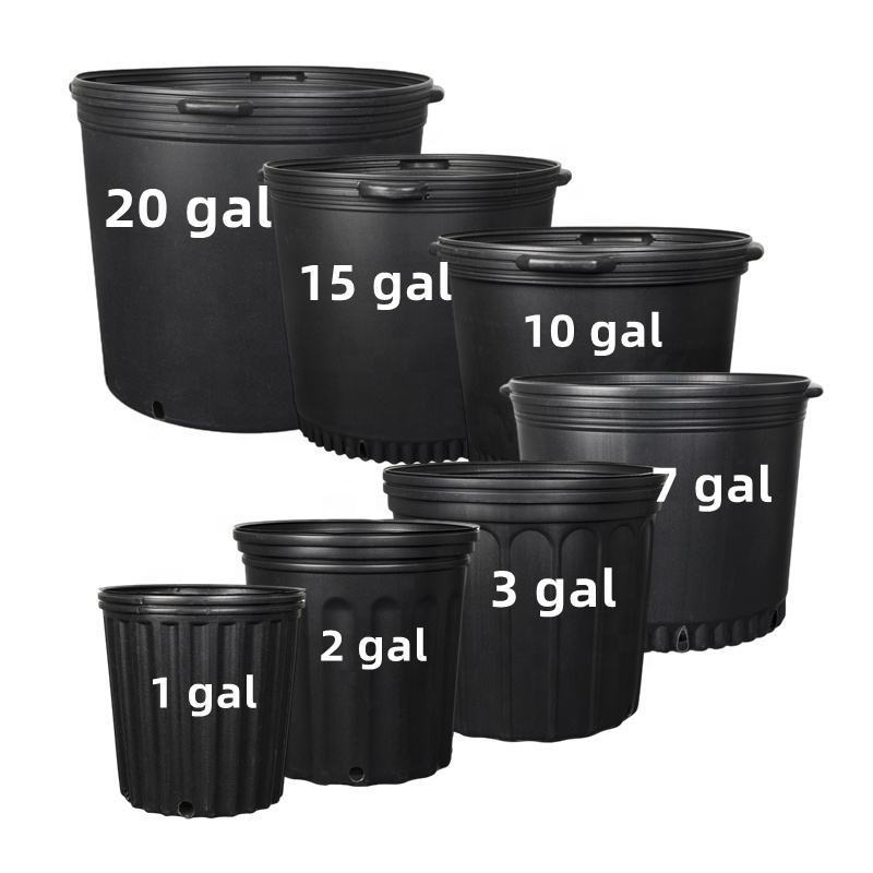 Wholesale Cheap Black 1 2 3 5 7 Gallon Injection Blow Mold Mould Nursery Plastic Pots For Nursery Plants