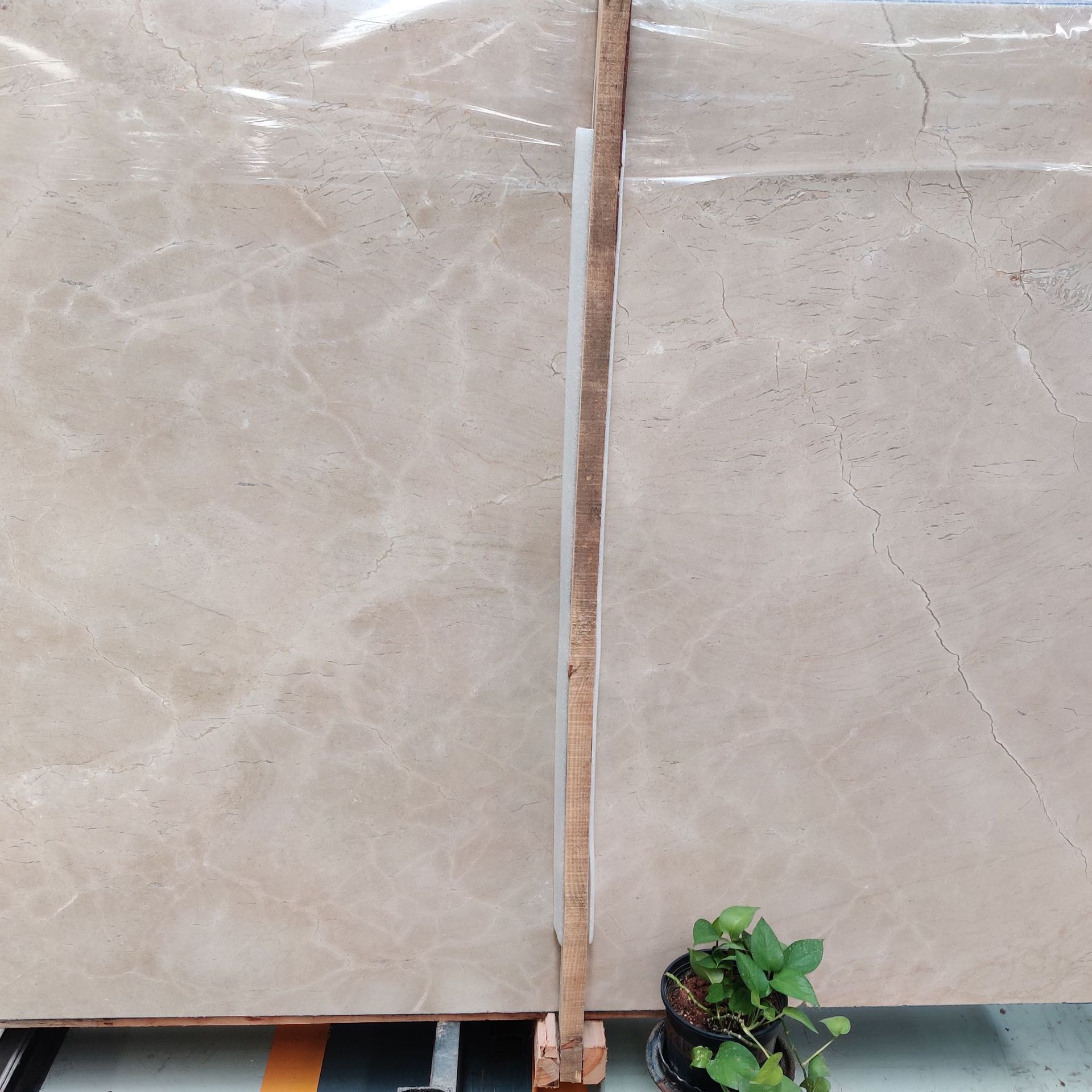 Best-selling and Good gloss Crema Marfil marble suitable for indoor floor and wall