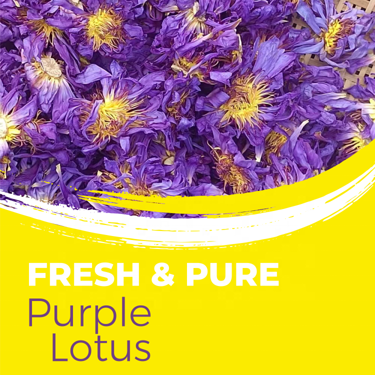 Customized Packaging Whole Flower Blue Purple Lotus Tea