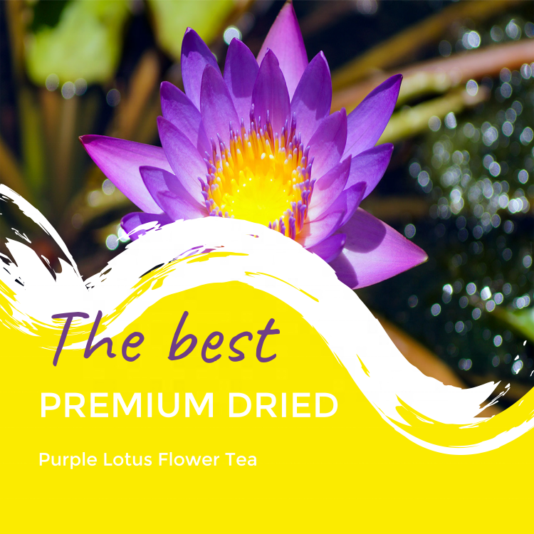 Customized Packaging Whole Flower Blue Purple Lotus Tea