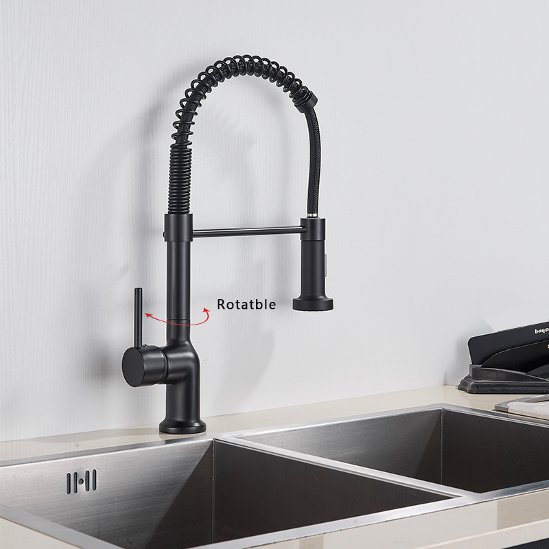 Pull Down Kitchen Sink Faucet Head with Sprayer Spring Graphic Design Modern Contemporary Ceramic Water Tap Black Kitchen Jichen