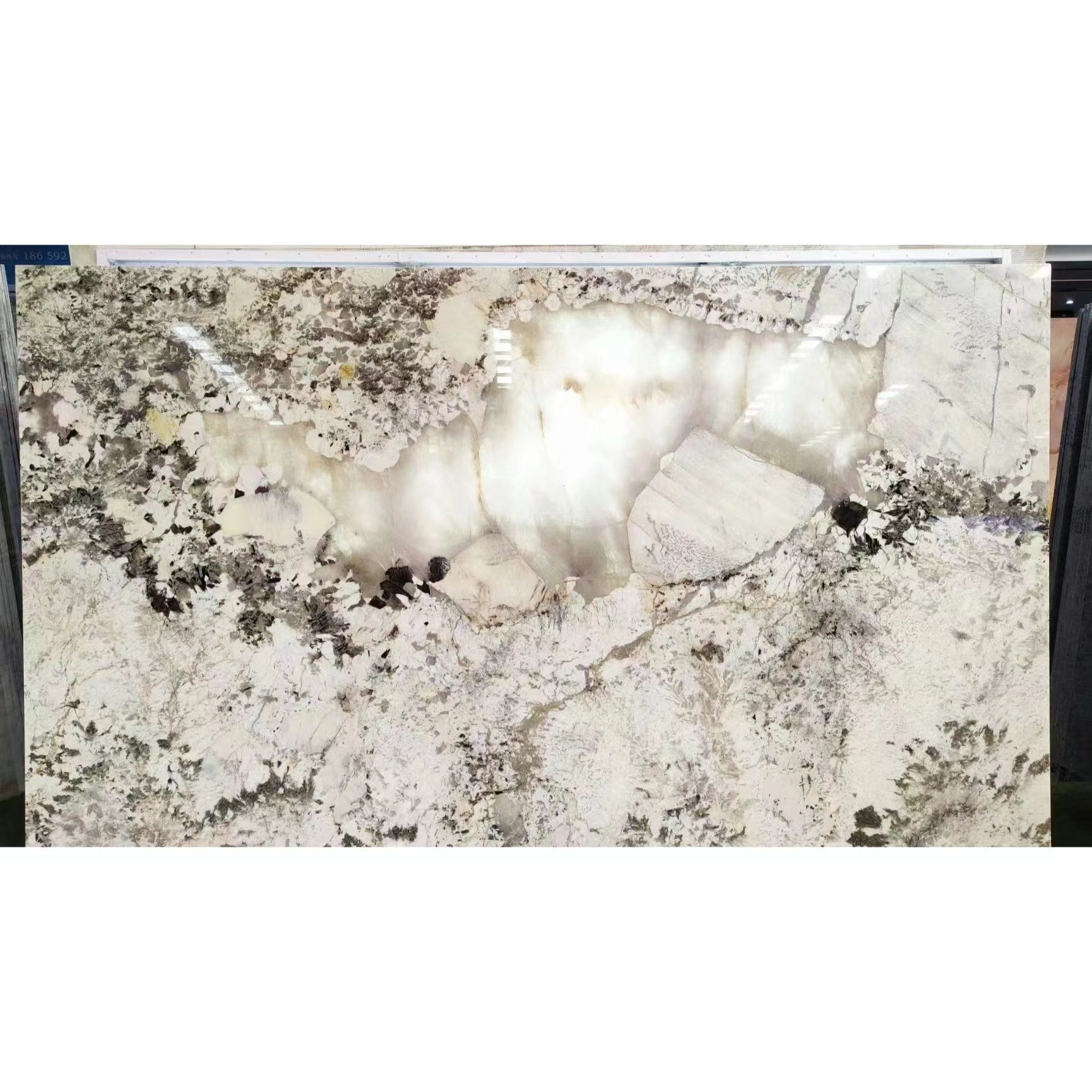 Wholesale Pandora White Marble Stone Big Slab Patagonia Marble Slab Tile Natural Luxury Stone Brazilian Pandora Marble