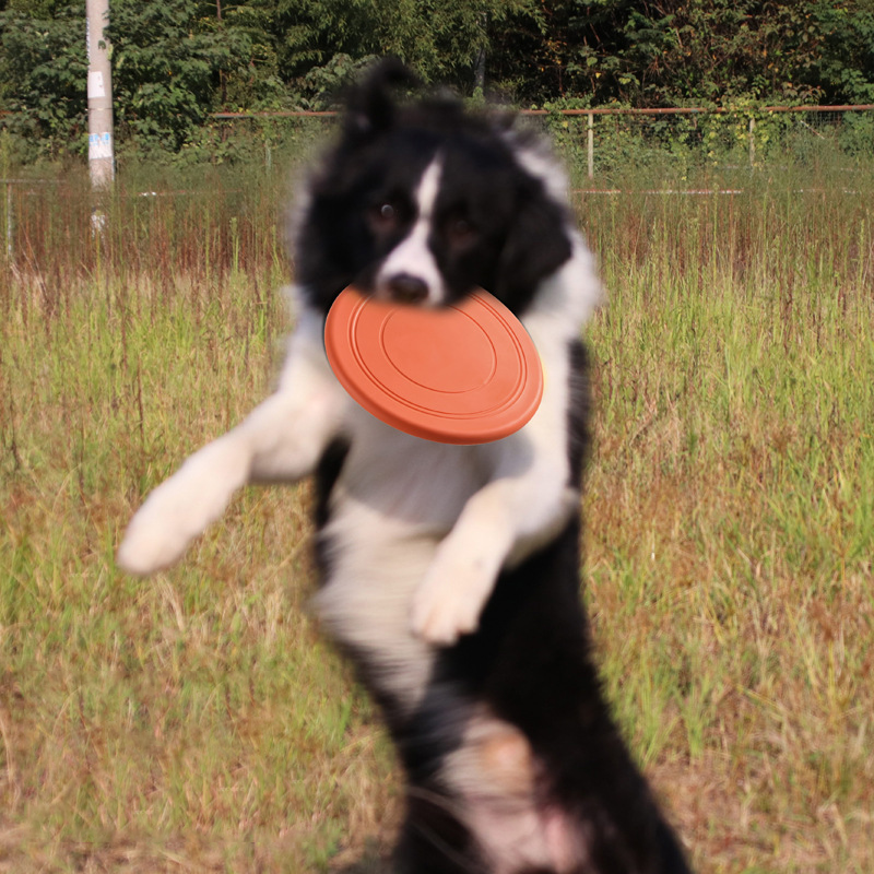 Dog Pet Toy Dog Frisbeed Pet Interactive Training Floating Water Bite Resistant Soft Dog Flying Disc