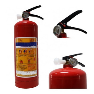 Wholesale Car Used 1 Kg Dry Powder Fire Extinguisher