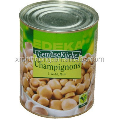 Fresh raw material canned mushroom, all kinds of canned foods