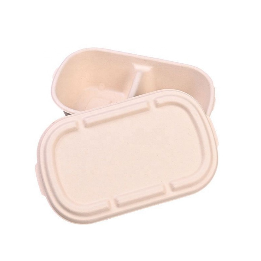 Takeaway Sugarcane Bagasse Take Away Bento Lunch Box Food Container 2 Compartment Eco Friendly Biodegradable Disposable Cake Box