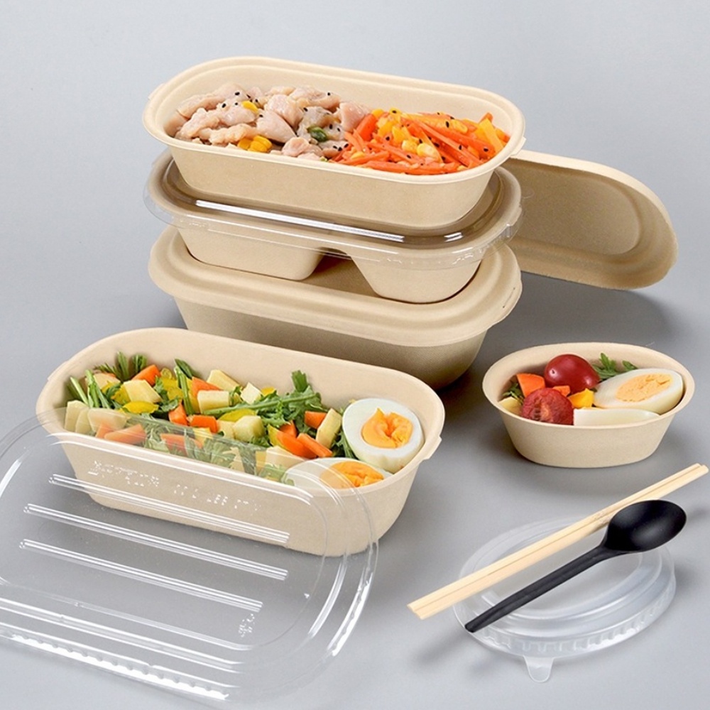 Takeaway Sugarcane Bagasse Take Away Bento Lunch Box Food Container 2 Compartment Eco Friendly Biodegradable Disposable Cake Box