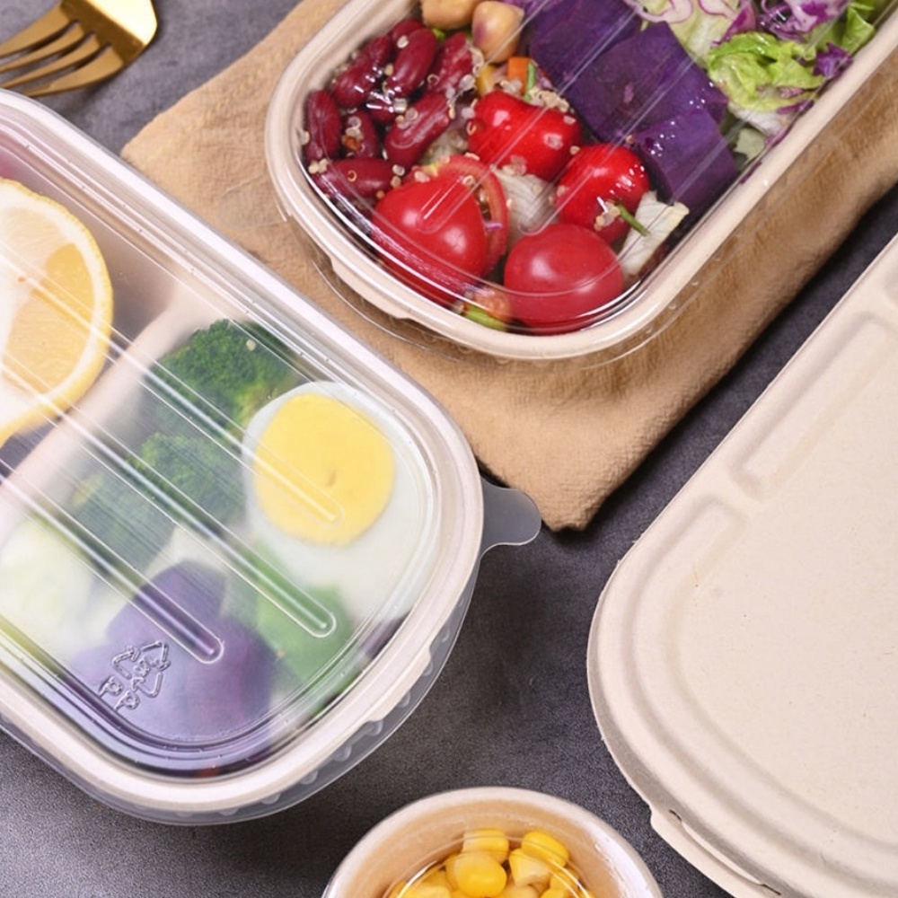 Takeaway Sugarcane Bagasse Take Away Bento Lunch Box Food Container 2 Compartment Eco Friendly Biodegradable Disposable Cake Box