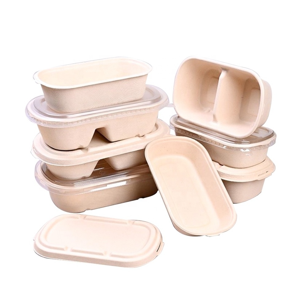 Takeaway Sugarcane Bagasse Take Away Bento Lunch Box Food Container 2 Compartment Eco Friendly Biodegradable Disposable Cake Box