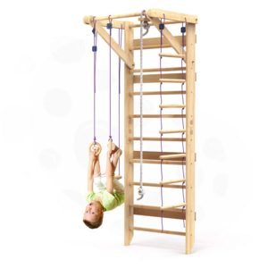 Sturdy Multi-Function Ladder Wall Gym Wooden Indoor Jungle Gym For Children And Adult