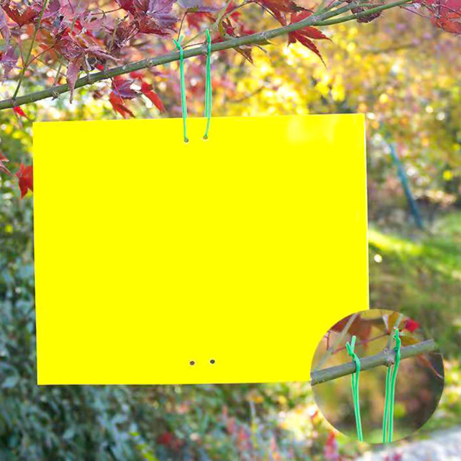 Hot sale Low cost Fly Control Yellow Glue Board Flies Pest Type Double Side Fly glue trap