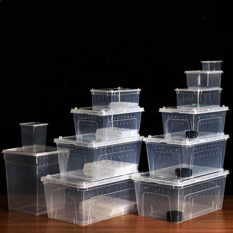 Plastic full size PP PVC pet reptile snake mantids spider frog Leapord Geckos enclosure travel habitat box breeding rearing cage