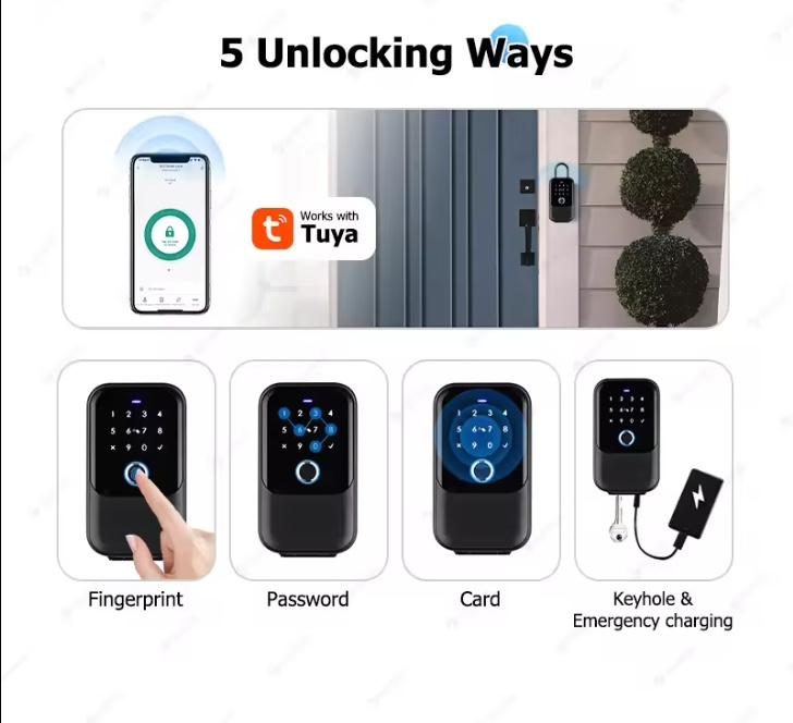 Tuya Outdoor IP65 Waterproof Smart Lock WiFi Connected Digital Smart Key Safe with Fingerprint Reader TT Lock