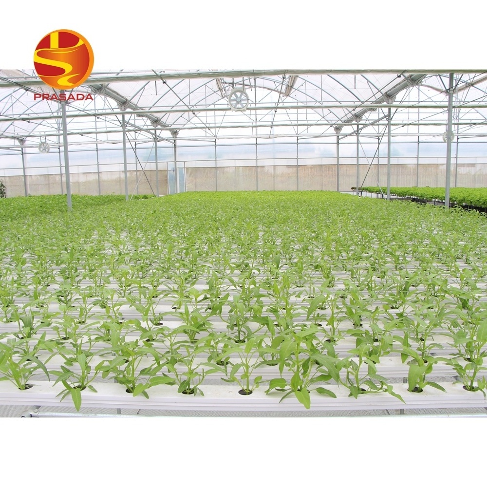 Prasada Greenhouse commercial lettuce farm NFT hydroponic system indoor hydroponic grow system