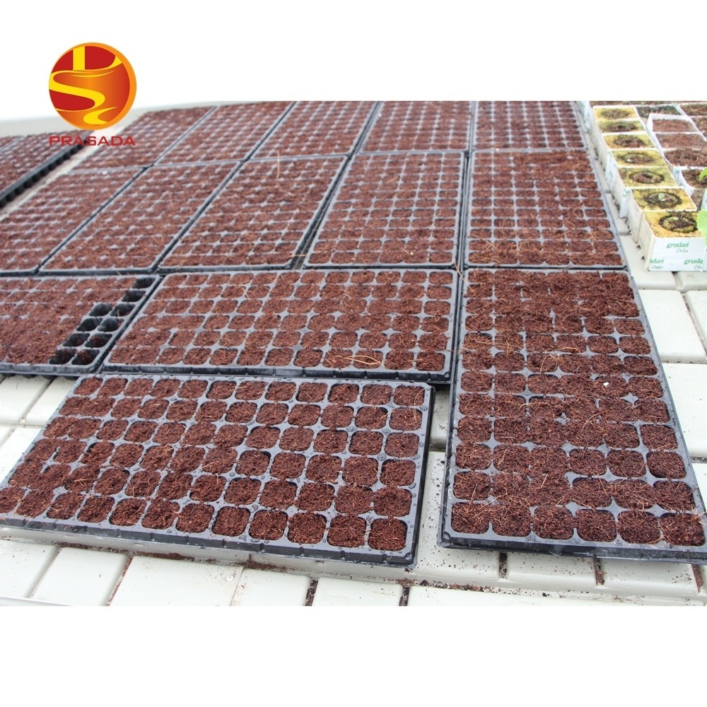 Prasada plastic Growing Trays Ebb And Flow tray Hydroponic System for sale