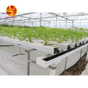 Prasada Greenhouse commercial lettuce farm NFT hydroponic system indoor hydroponic grow system